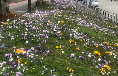 Ferienwohnung Wattlöwe - Photo 42