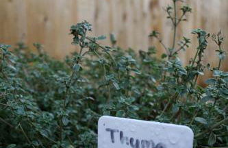 The Sails, Romantic Retreat for Two - Photo 35