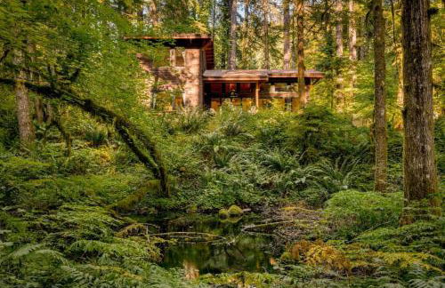 Tamanawas Cabin - Foto 20