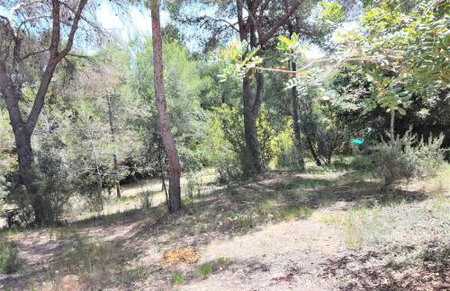 La Casa del bosque - Photo 42