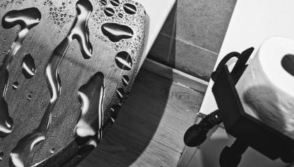 Gîte Nature sur LAC avec accès PISCINE et PONTON - Foto 5