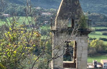 Chateau appartement tussen Mont Ventoux en Luberon - Foto 43