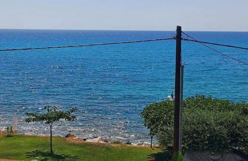 Blue and white - Foto 31