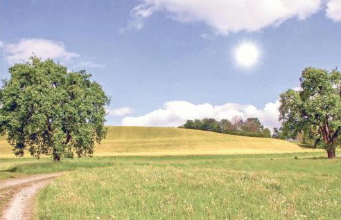 Cozy Home In Krems Iiwarderbrück - Foto 10