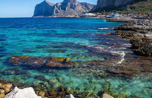 Ciuri Ciuri - Foto 48