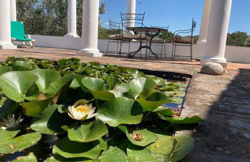 Monte das Sesmarias - Foto 10