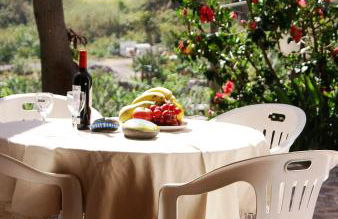 Casa Creativa - Foto 24