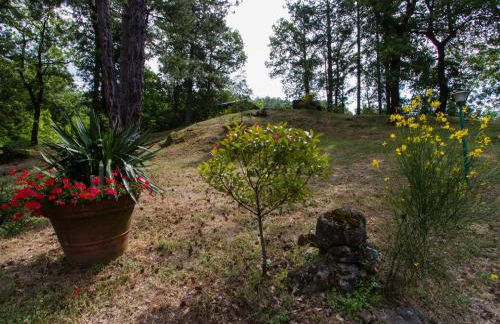 Alloggio Villa Manini - Foto 23