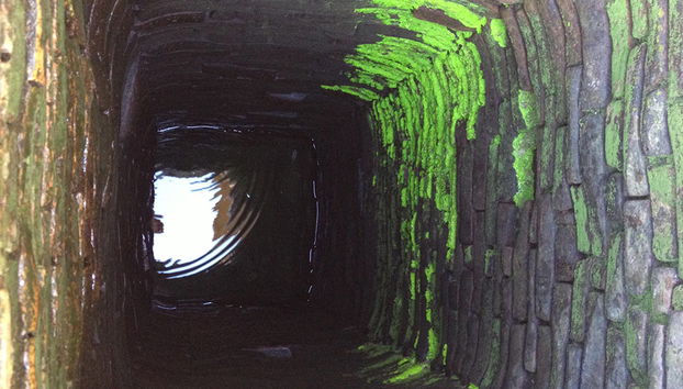 Hoi An Food Adventure - Photo 4