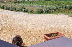 White Lotus seaside apartment - Photo 2