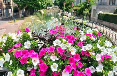 Escale secrète Montargis Jacuzzi Terrasse Parking gratuit - Photo 43