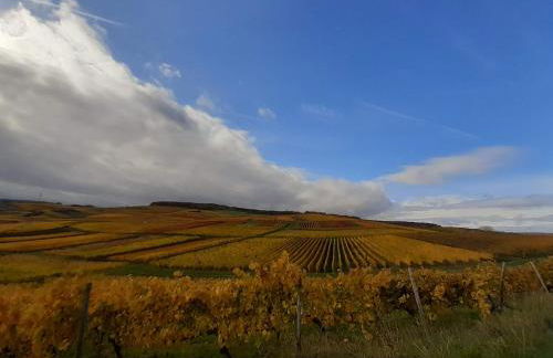 Casa Kühn - Foto 14