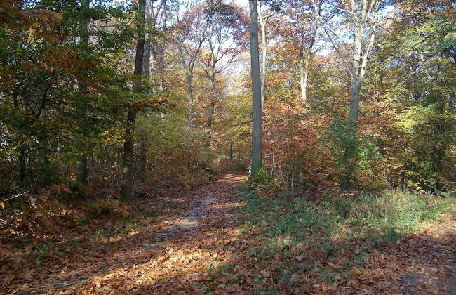 Quiet Glade Stay With Kid - Foto 44