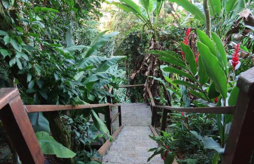 Larc House Ubatuba - Foto 47