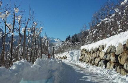 Casa Ciclamino Val Di Sole 10 pax 7 nights - Foto 75