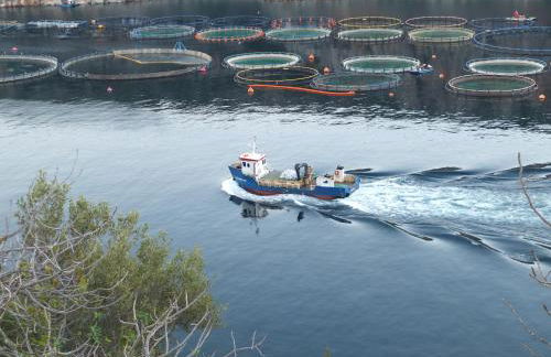 Nymfes Villas - Foto 45