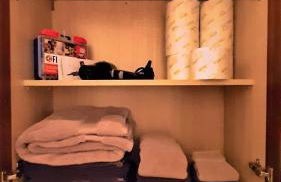 Near to OUHSC Hospitals-Garage Studio - Photo 35