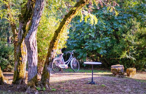 La Maison des Chênes - Piscine et grand terrain arboré dans une ambiance bucolique. - Foto 27