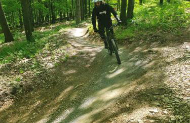 Pokoje z Widokiem na Szczyrk - Foto 40