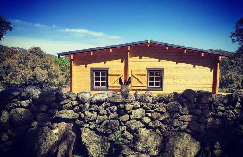 Eco Lodge nella natura Con Piscina privata "La Grande Quercia" - Foto 29