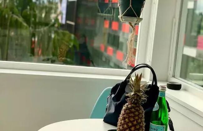 Prime Roosevelt Contemporary Studio - Foto 7