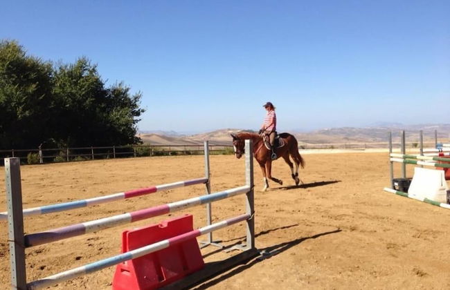 Ridocco Agriturismo - Photo 12