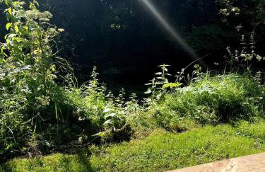 Otter Camp Private Riverside Glamping with Hot Tub - Foto 20