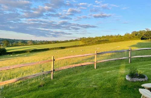 Luxury Shepherd Hut on small South Hams farm, Devon - Foto 13