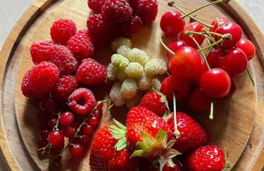 Leon Morto - Foto 16