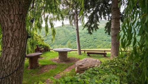 Casa Joana - Apartamento La Colomina- se admiten mascotas - Foto 1, Garden