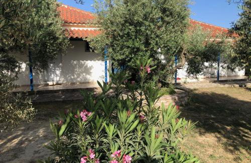 Aggeliki House 4 - Foto 15