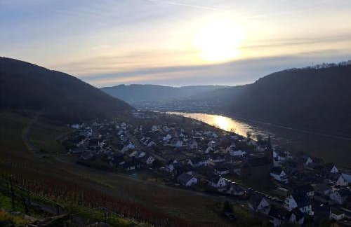 Ruhig gelegende Ferienwohnung an der Mosel - Foto 22