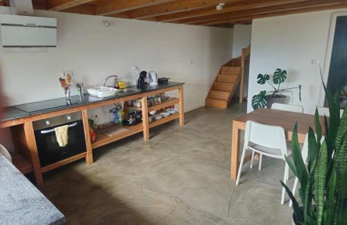 T1 com Vista Mar em Sao Roque do Pico Residências Requinte - Foto 8