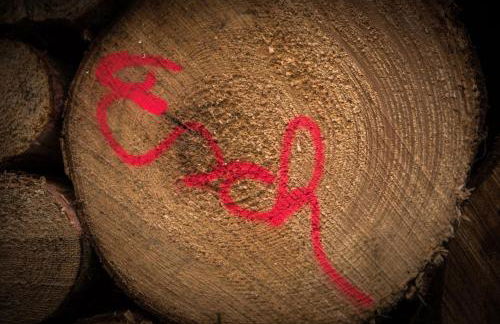 Holzhaus Onkel Fritz mit Sauna und Whirlwanne - Foto 76