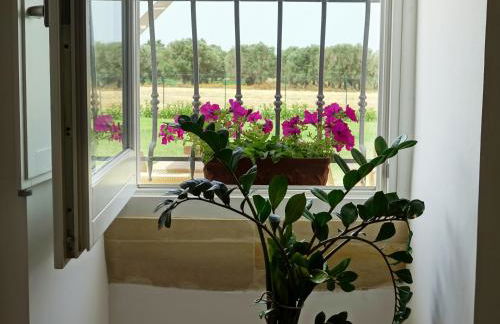 Casina Bardoscia Relais - Foto 119