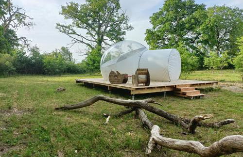 Pré en bulles - Foto 1