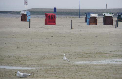 Günnis Perle am Harleufer - Photo 29