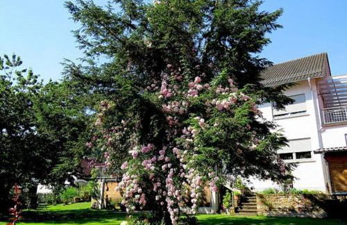 Apartment 2 Mainblick Brigitte - Foto 25