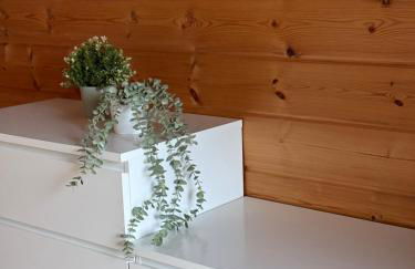 Blockbohlen HolzHaus mit Sauna, Outdoor Jacuzzi und BadeTeich - Foto 53