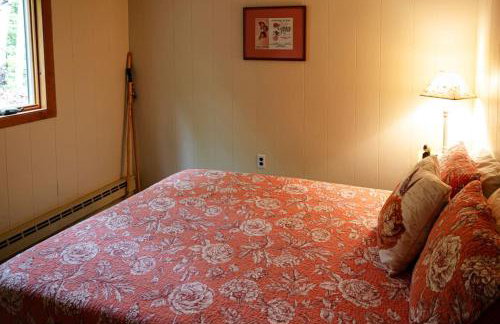 Belgrade Lake house with Dock - Photo 3