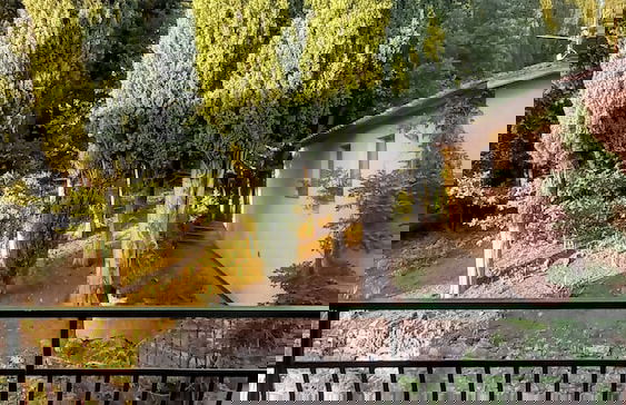 Il Giardino di Daniel Spoerri - Foto 53