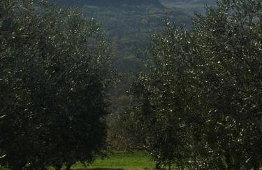 Motovun Bellevue - amazing view, comfortable - Foto 41