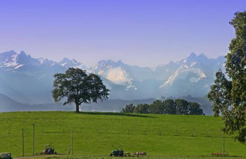Ferienwohnungen**** Sophie & Luca - Foto 30