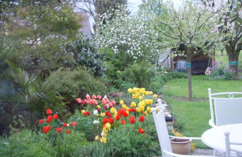 Ferienwohnung Noack - Foto 13