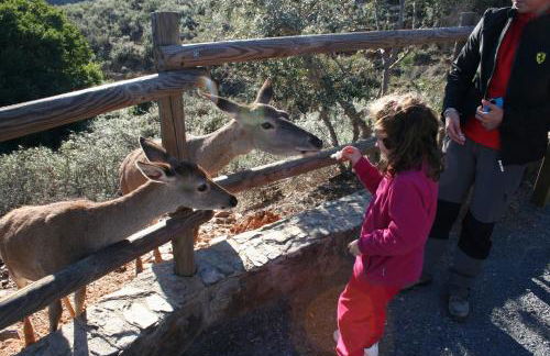 Complejo Turístico Las Cañadas Casas de Campo- Actividades Gratuitas Todos los Fines de Semana - Foto 80