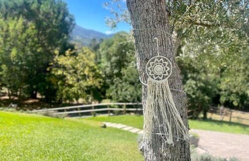 Casa da nascente douro - Foto 45