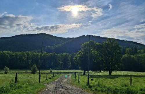 Sowie Pokoje - Foto 30