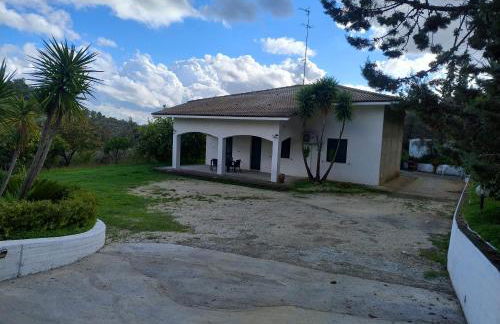 Odori di zagara - Foto 2