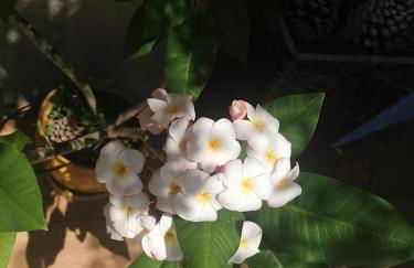 BELLE VILLA Piscine 120 m2, 8 pers, 3 belles chambres Près d'Aix-en-Provence - Foto 79