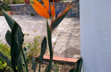 House of Polymnia - Photo 66